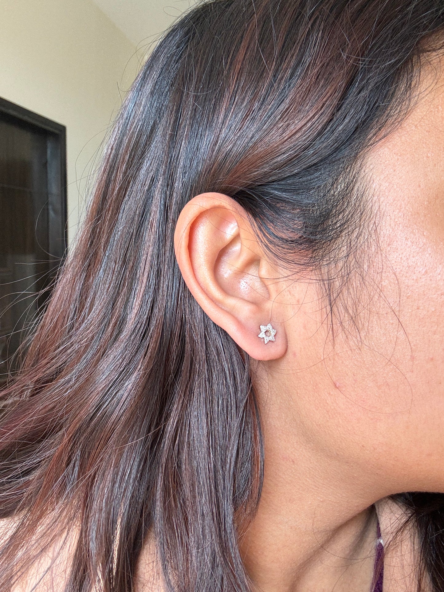 The North Star 14K/18K Gold Studs